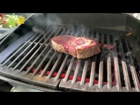 WEBER Grill Pulse 1000 in Action 5