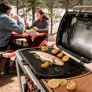 Pescado en la parrilla de la barbacoa weber traveler